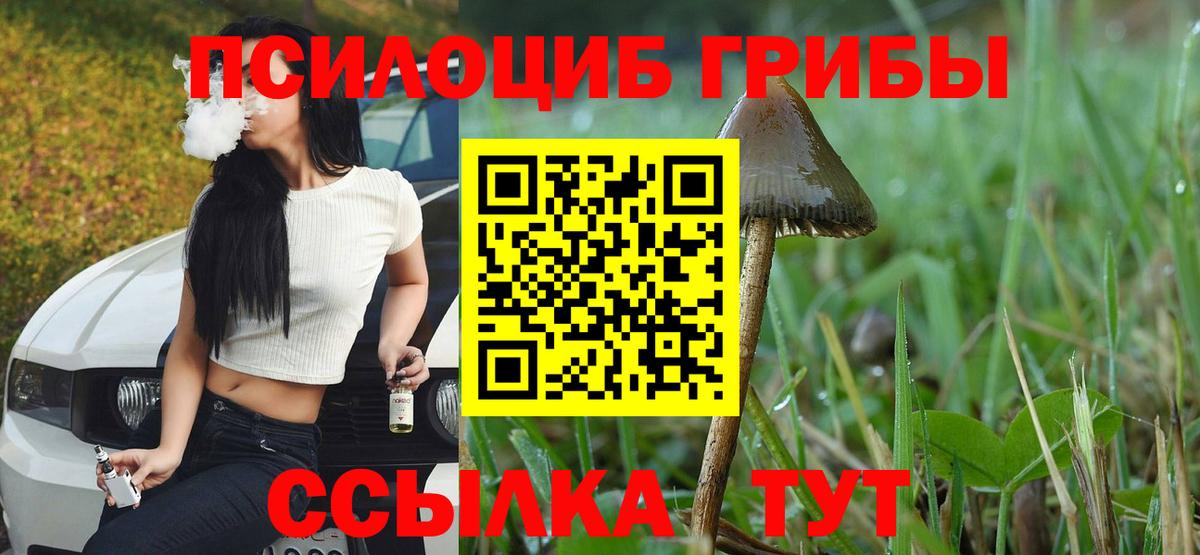 Псилоцибиновые грибы Cubensis  Вход с VPN  Калач-на-Дону 